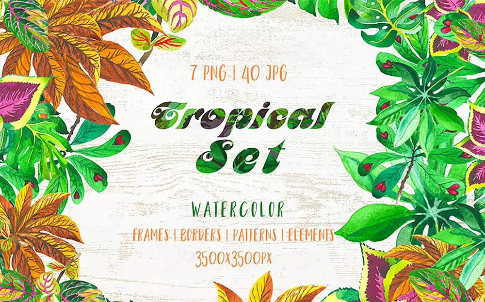 Exotique Tropical Set PNG Illustration Aquarelle