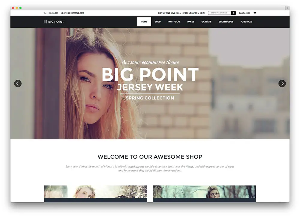 big point WordPress theme