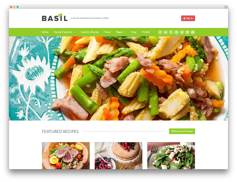 basilic - recette partage wordpress theme