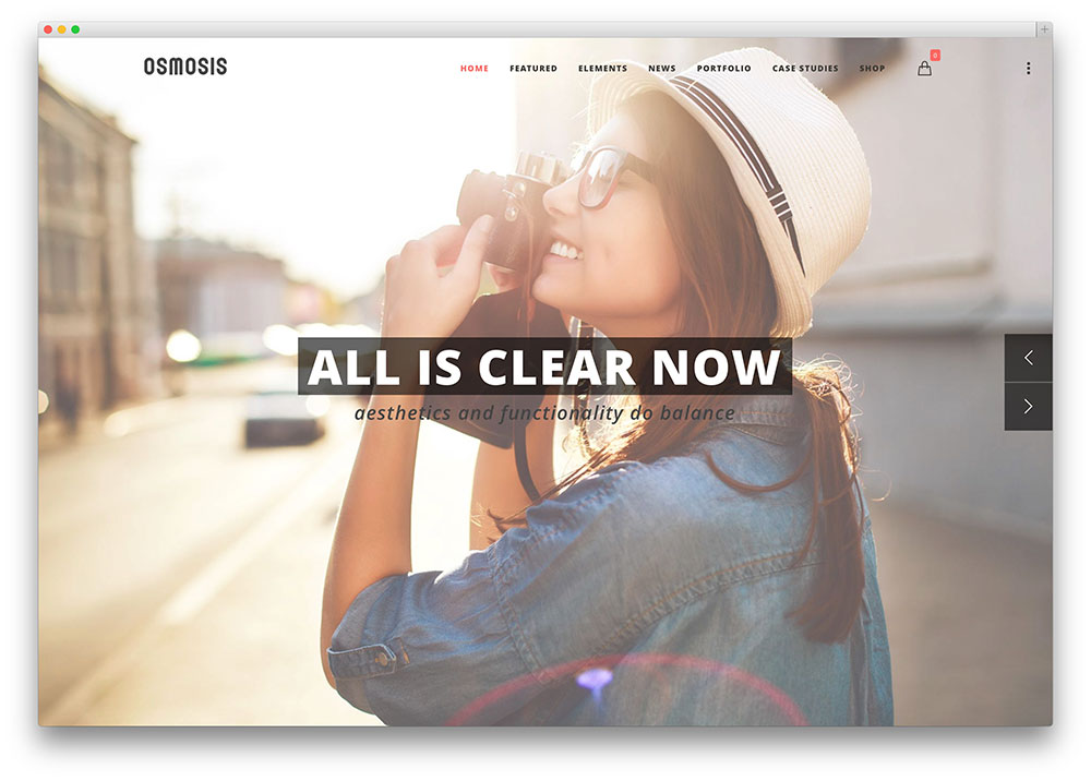 osmosis WordPress theme preview