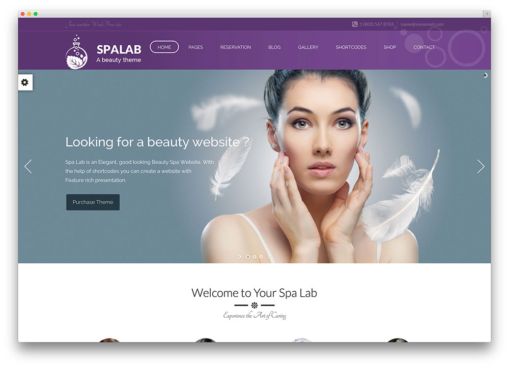spalab beauty WordPress theme