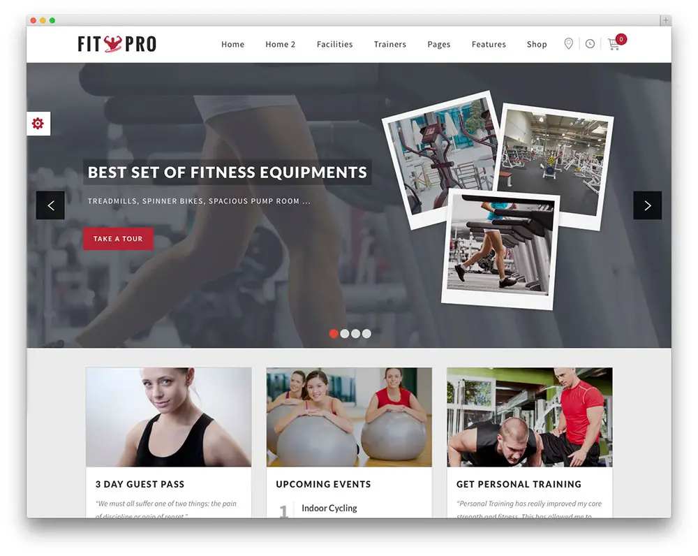 fitpro fitness theme