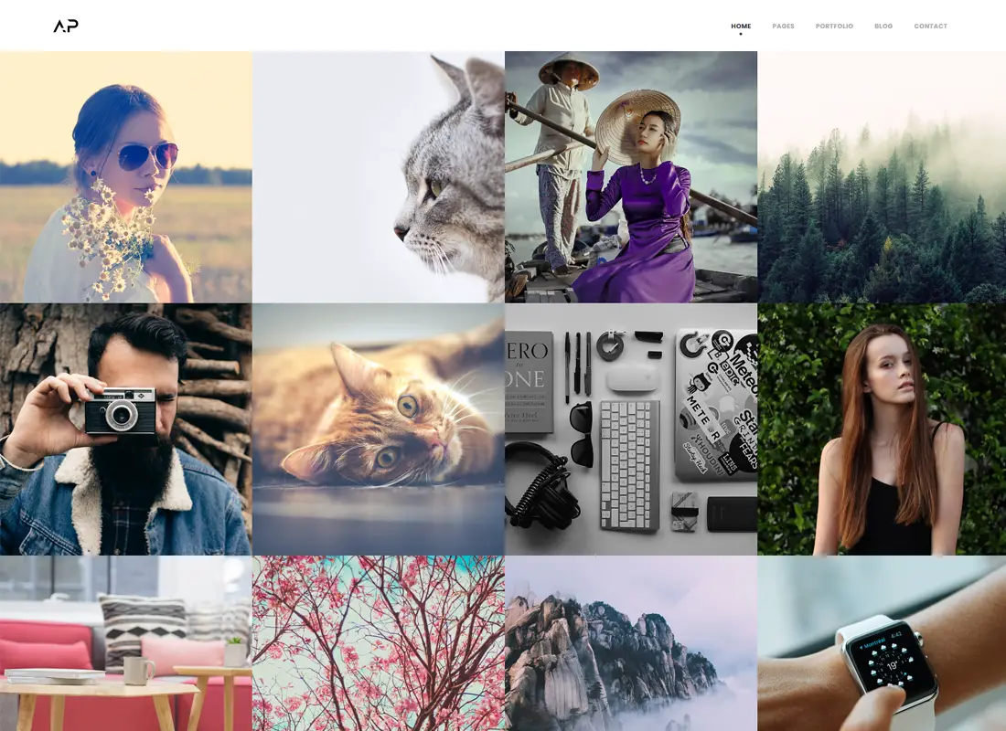 Apola - Thème WordPress pour portfolio de photographie
