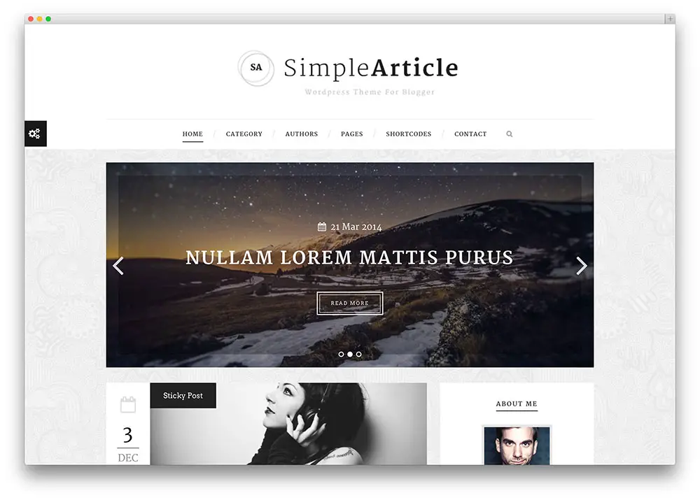 simplearticle impressive theme for bloggers
