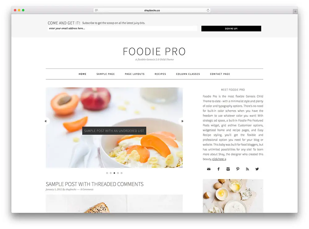 foodie - genesis food blog theme