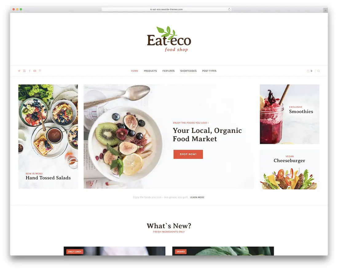 eat eco best food wordpress theme