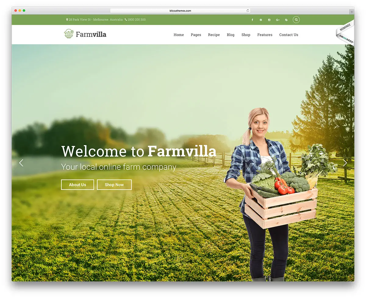 19 thèmes WordPress écologiques pour Green, Organic, Eco-Friendly Business, WooCommerce, Sites Web sur les aliments 2019 3