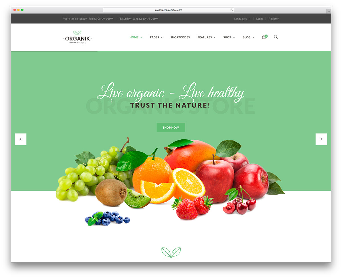 19 thèmes WordPress écologiques pour Green, Organic, Eco-Friendly Business, WooCommerce, Sites Web sur les aliments 2019 8