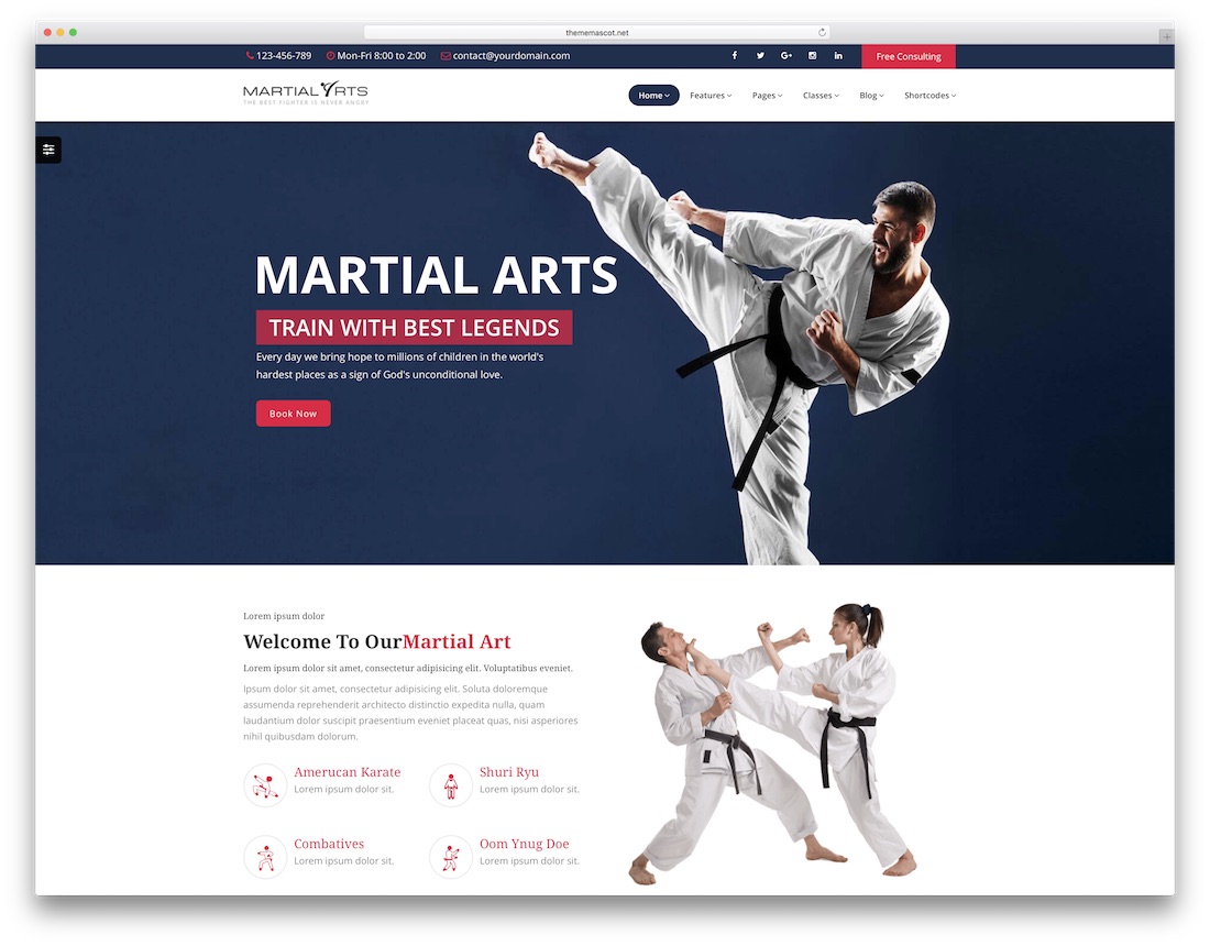 modèle de site Web école d'arts martiaux