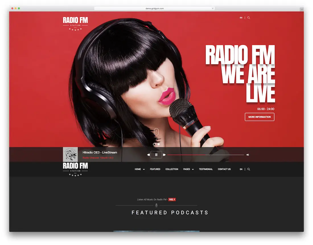 modèle de site web musicien radio fm