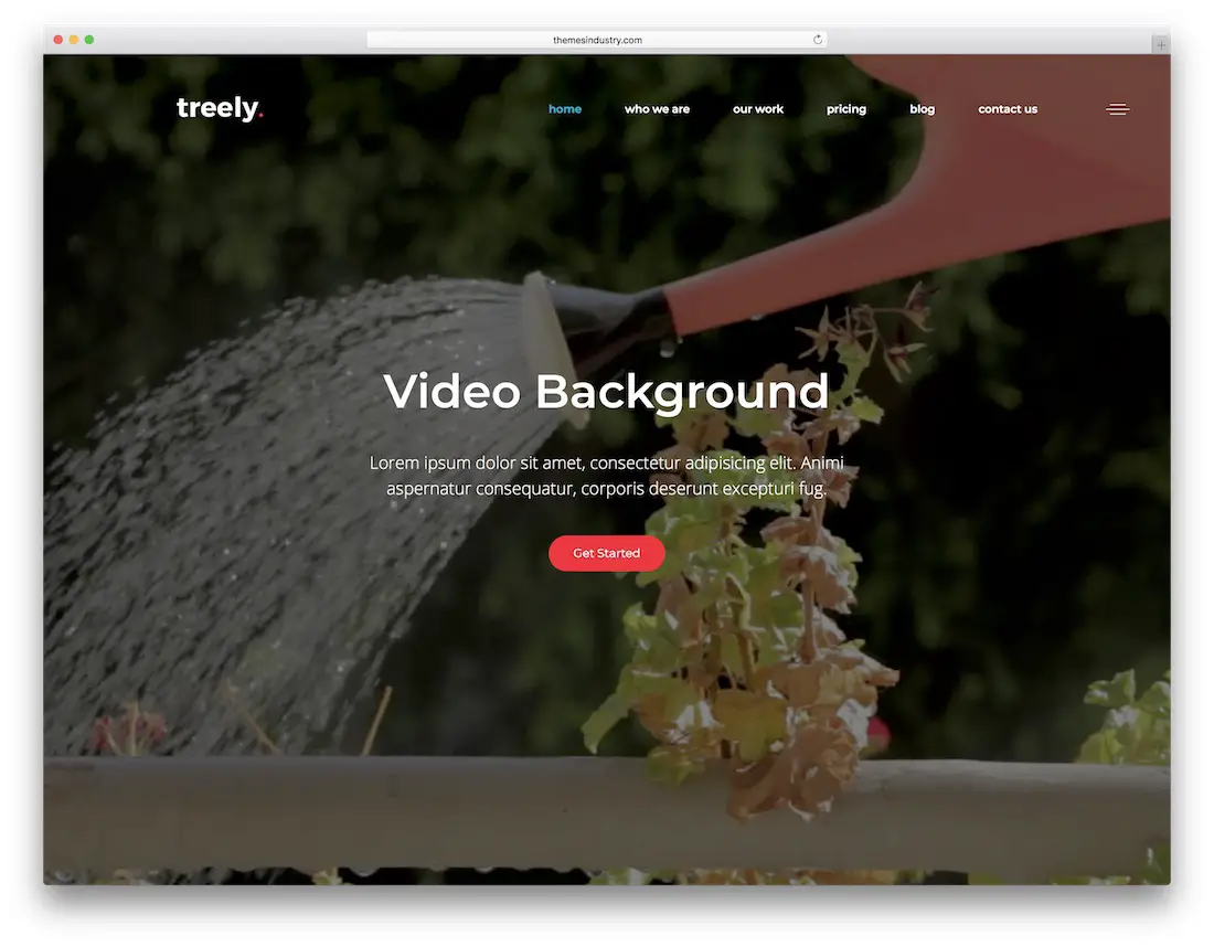 modèle de site Web vidéo treely