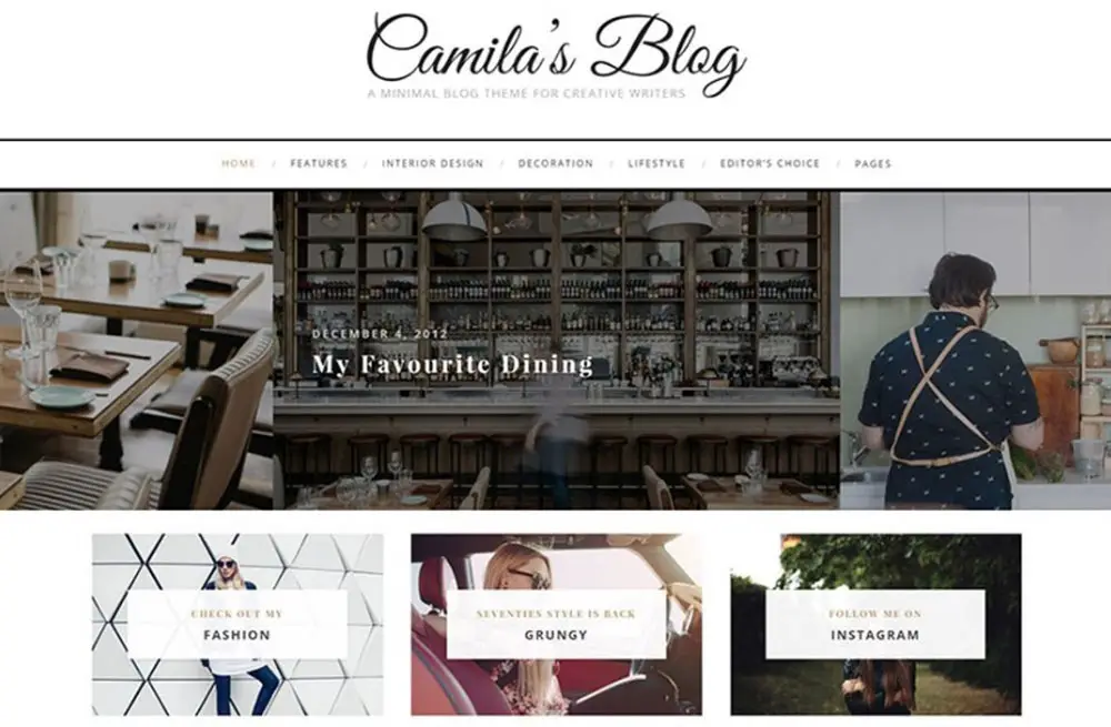 Camila - Blog Minimal Thème WordPress