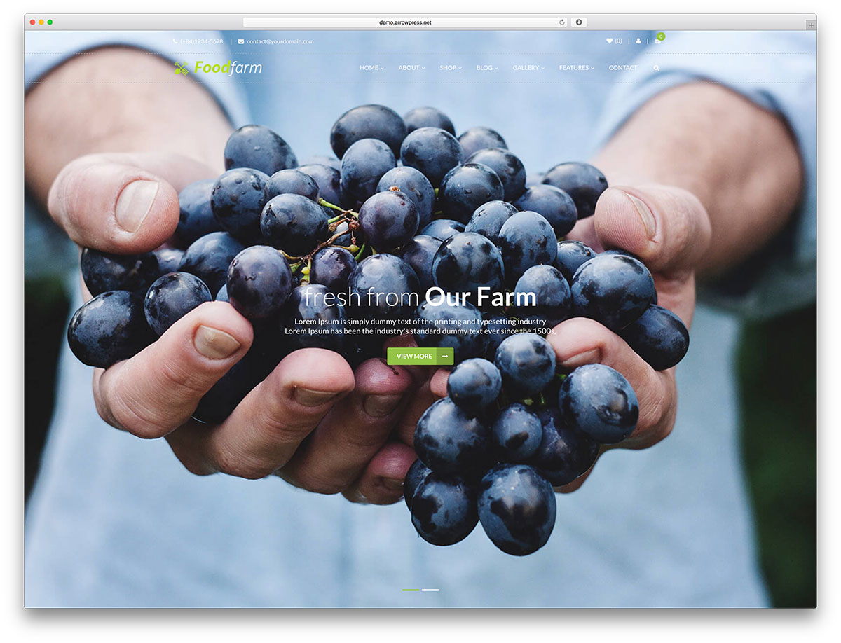 30 meilleurs thèmes WordPress pour l'agriculture et l'agriculture 2019 6