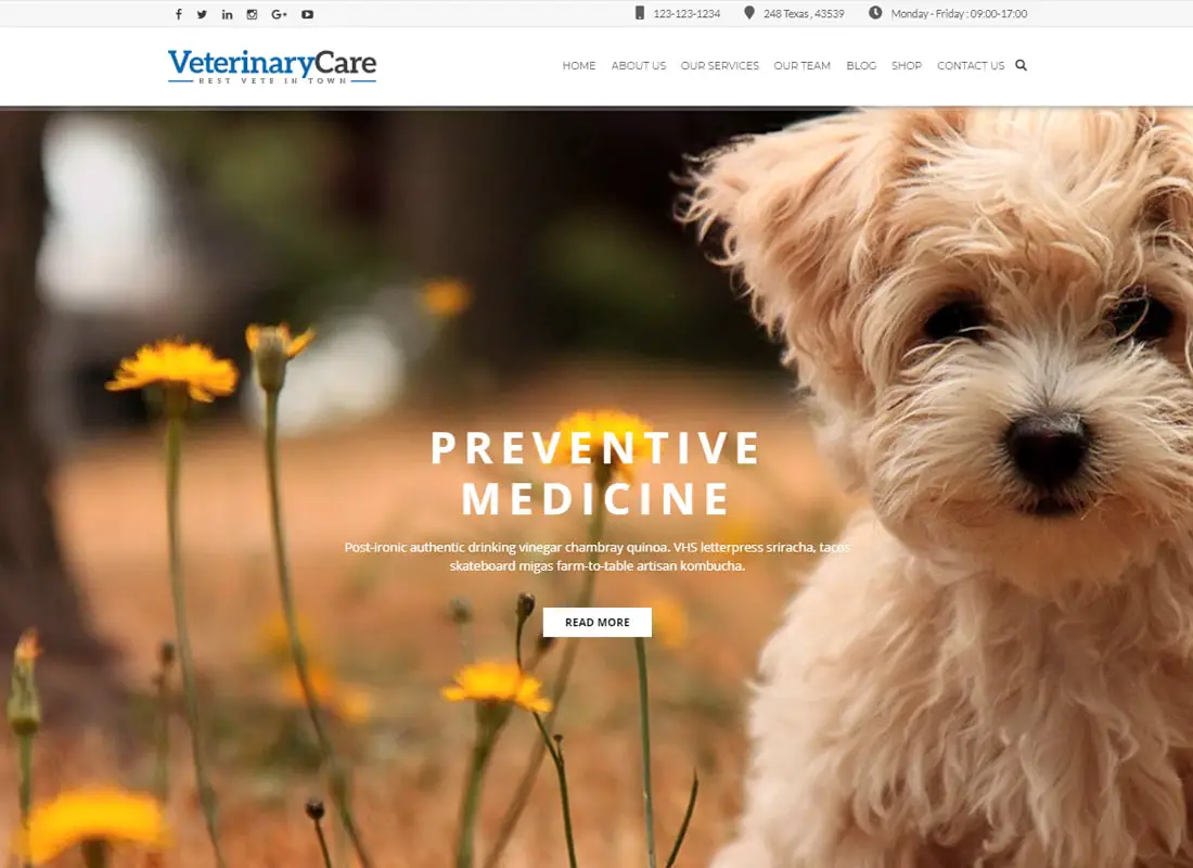 Vet Care - Thème WordPress pour animaux de compagnie et soins vétérinaires