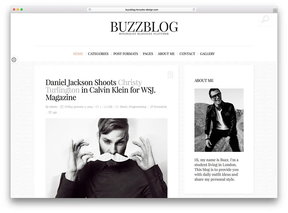 buzzblog - thème du blog classique