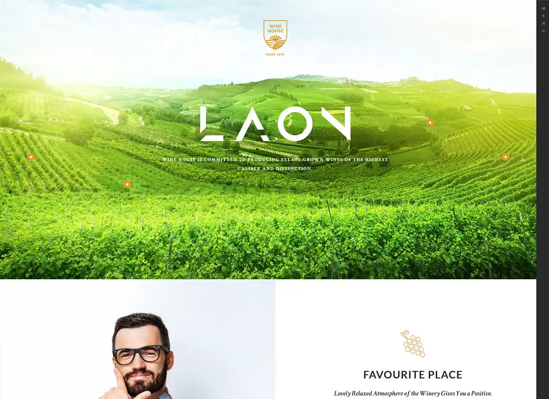 Laon | Wine House, Winery & Wine Shop Thème WordPress