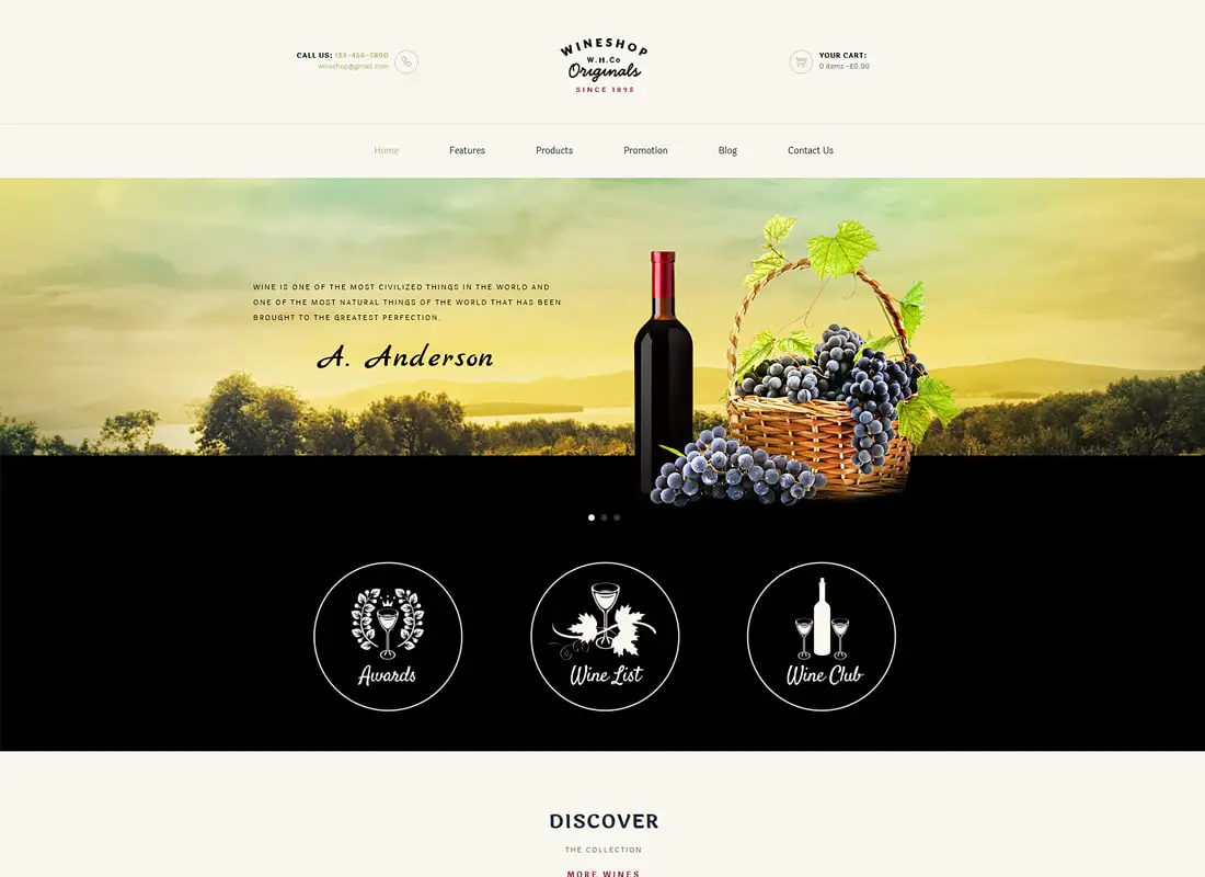 WineShop | Thème WordPress du magasin en ligne Food & Wine