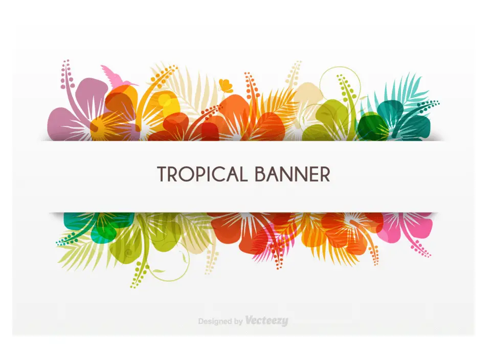 Bannière tropicale en format vectoriel