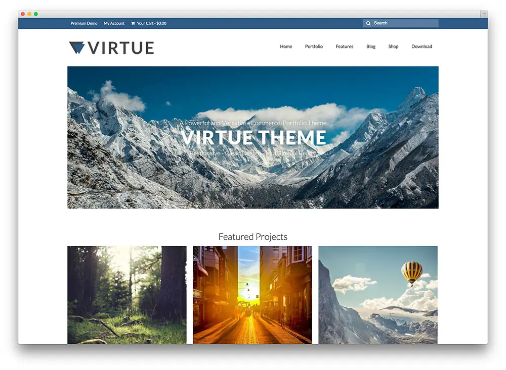 virtue clean theme