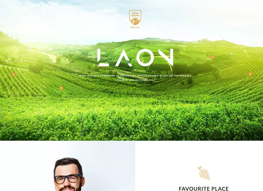 Laon | Modèle HTML de cave à vin et établissement vinicole