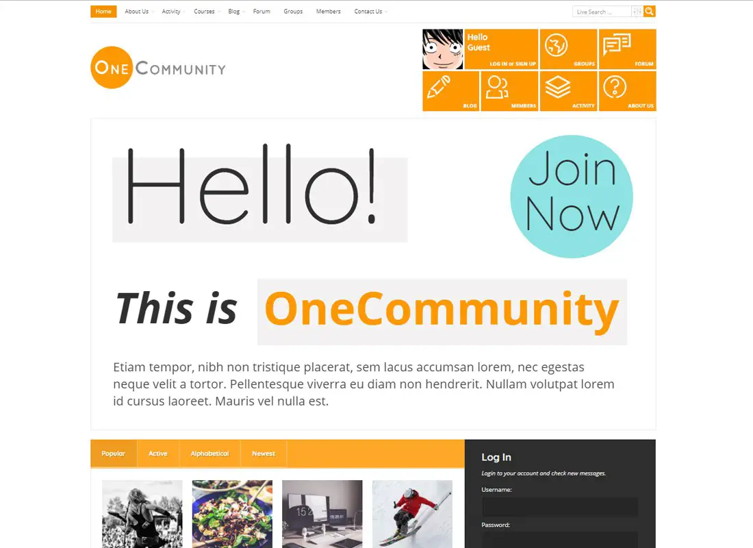 OneCommunity | Thème LMS e-Learning de la communauté BuddyPress