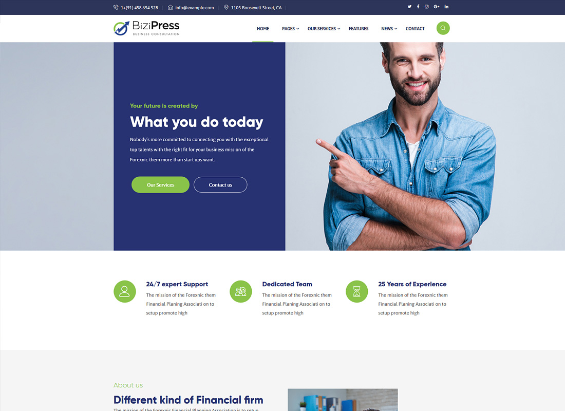 BiziPress | Finance Insurance Agency Thème WordPress