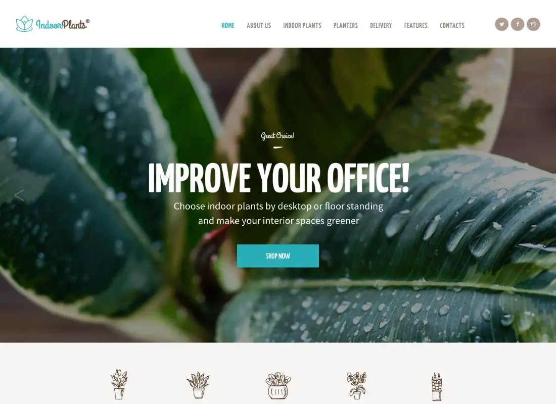 Plantes d'intérieur | Thème WordPress du magasin de plantes d'intérieur et de jardinage