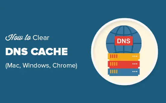 Effacez facilement le cache DNS dans macOS, Windows et Chrome