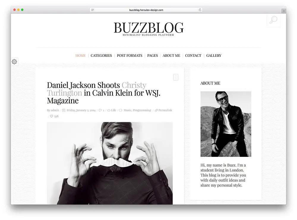buzzblog - classic blog theme