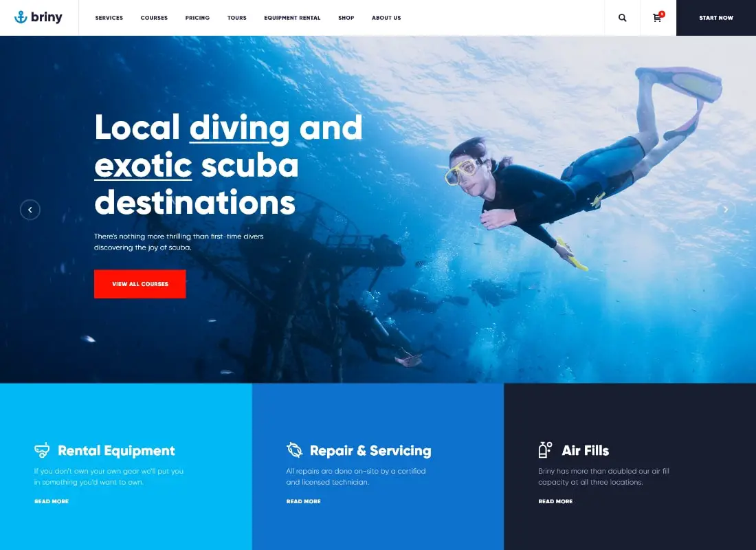 Briny | École de plongée sous-marine et thème WordPress pour sports nautiques