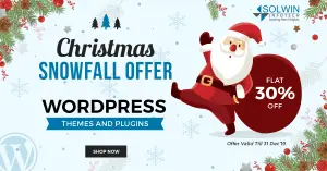 Meilleures offres de Noël et du nouvel an sur les produits WordPress et WooCommerce 2019 7