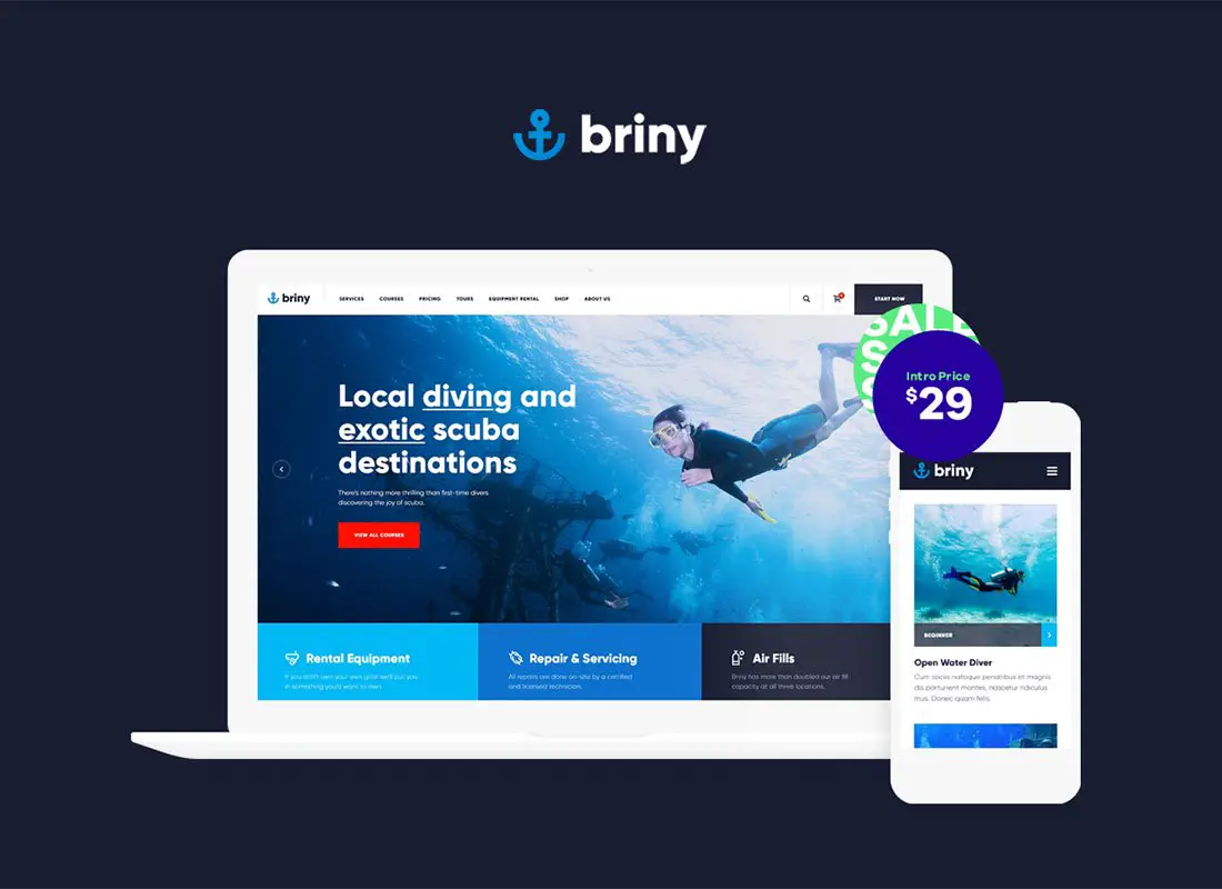 Briny | Thème WordPress pour la plongée sous-marine et les sports nautiques