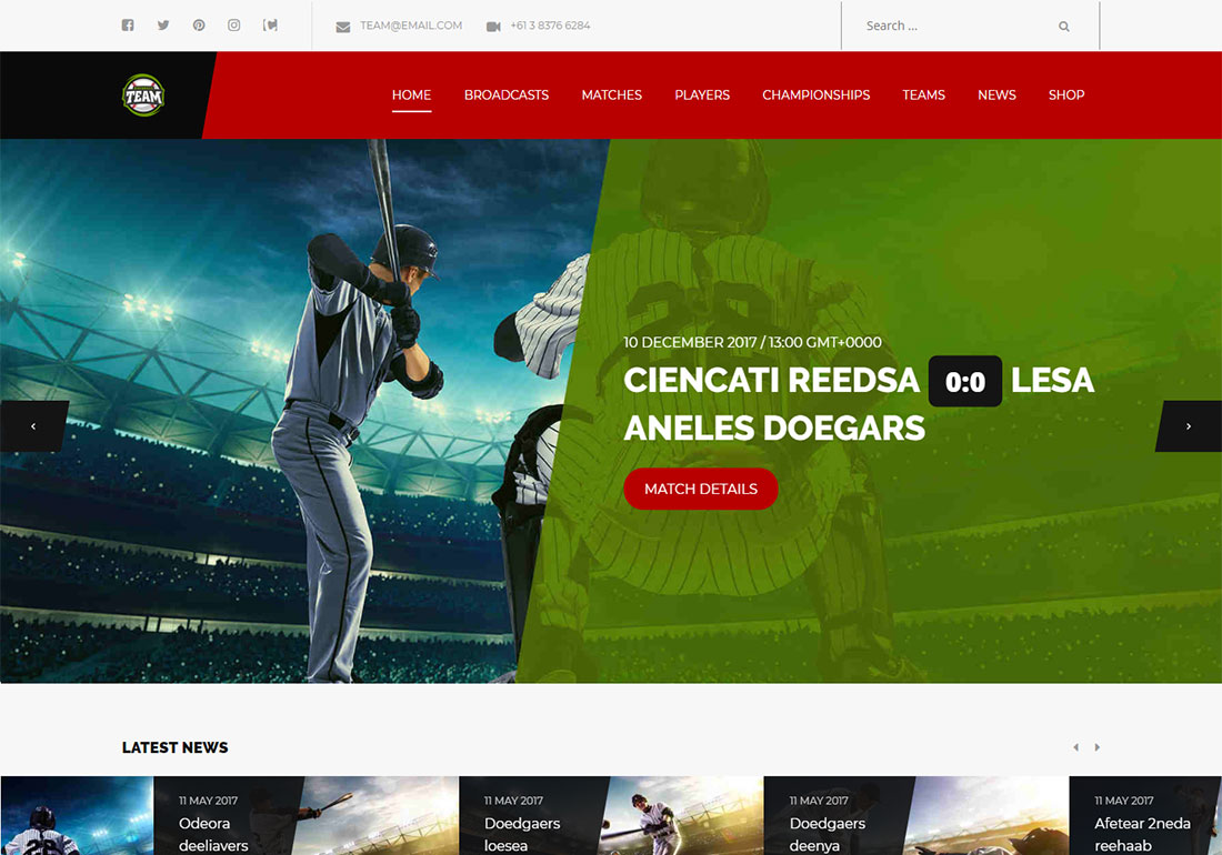 Thème WordPress Team Baseball
