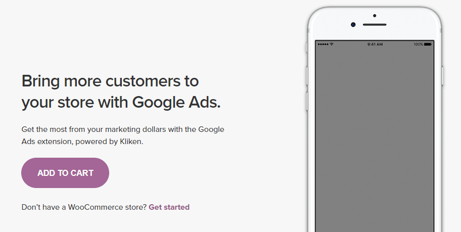 L'extension Google Ads pour WooCommerce.