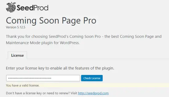 Saisie de votre clé de licence sur la page des paramètres de SeedProd Coming Soon Pro