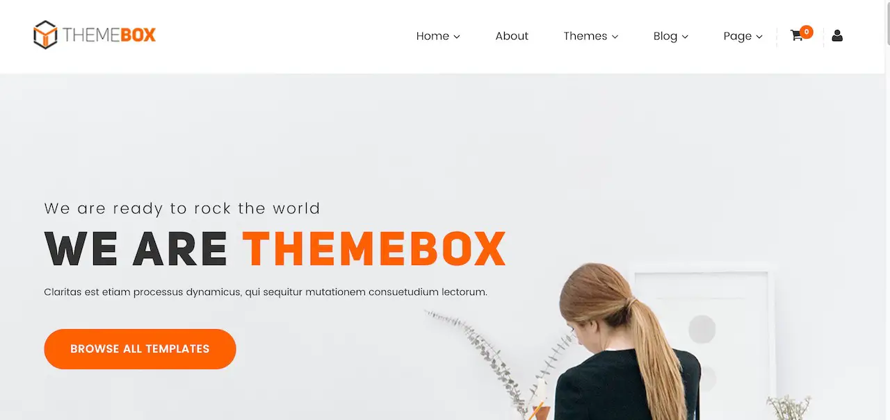 Accueil 2 - Themebox - Unique Digital Products Ecommerce WordPress Theme-min