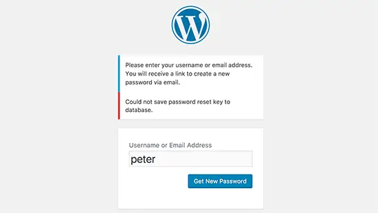Erreur de réinitialisation du mot de passe dans WordPress