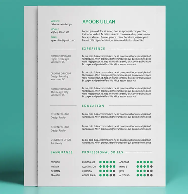 Modèle de CV gratuit par Ayoob Ullah