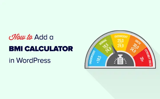 Ajouter un calculateur d'IMC à votre site Web WordPress