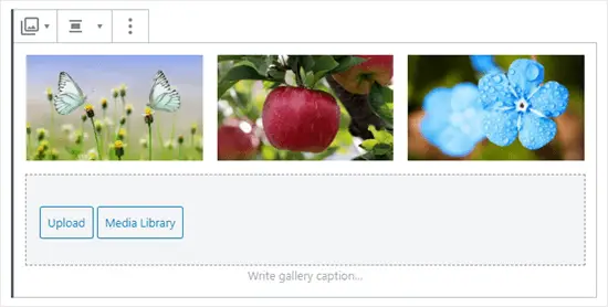 Trois images dans la galerie (papillons, pomme et fleurs bleues)
