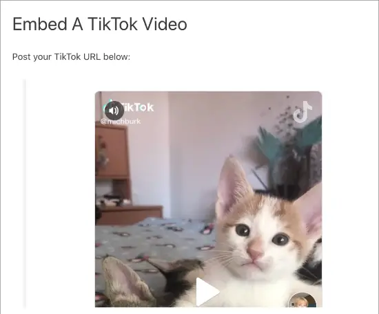 Vidéo TikTok intégrée