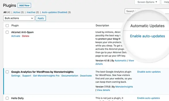 Activer les mises à jour automatiques pour les plugins dans WordPress 5.5