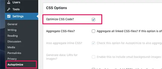 Optimiser CSS dans Autoptimize