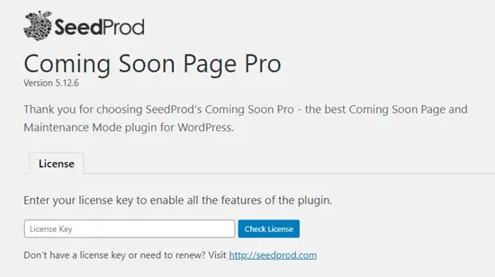Entrez votre licence SeedProd.  Vous pouvez le trouver dans votre espace Compte sur le site SeedProd.
