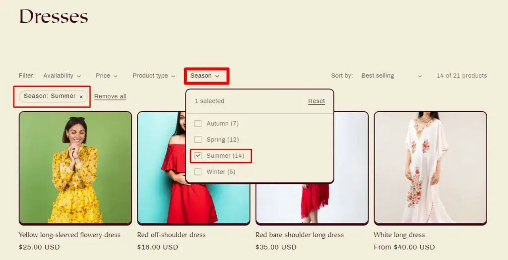 Comment ajouter un filtre de produit dans Shopify ? 21