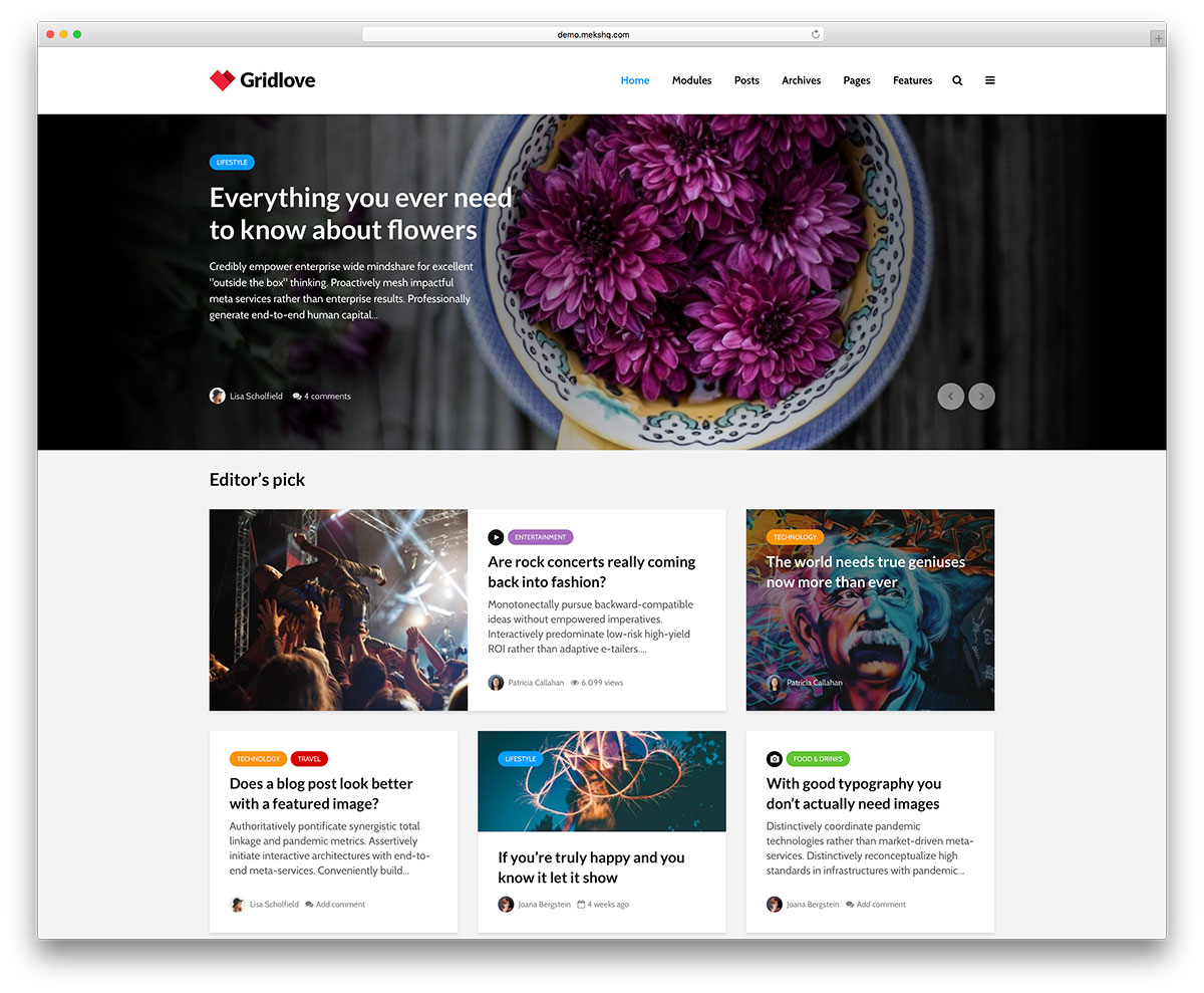 20+ meilleurs thèmes WordPress de style Pinterest 2019 1