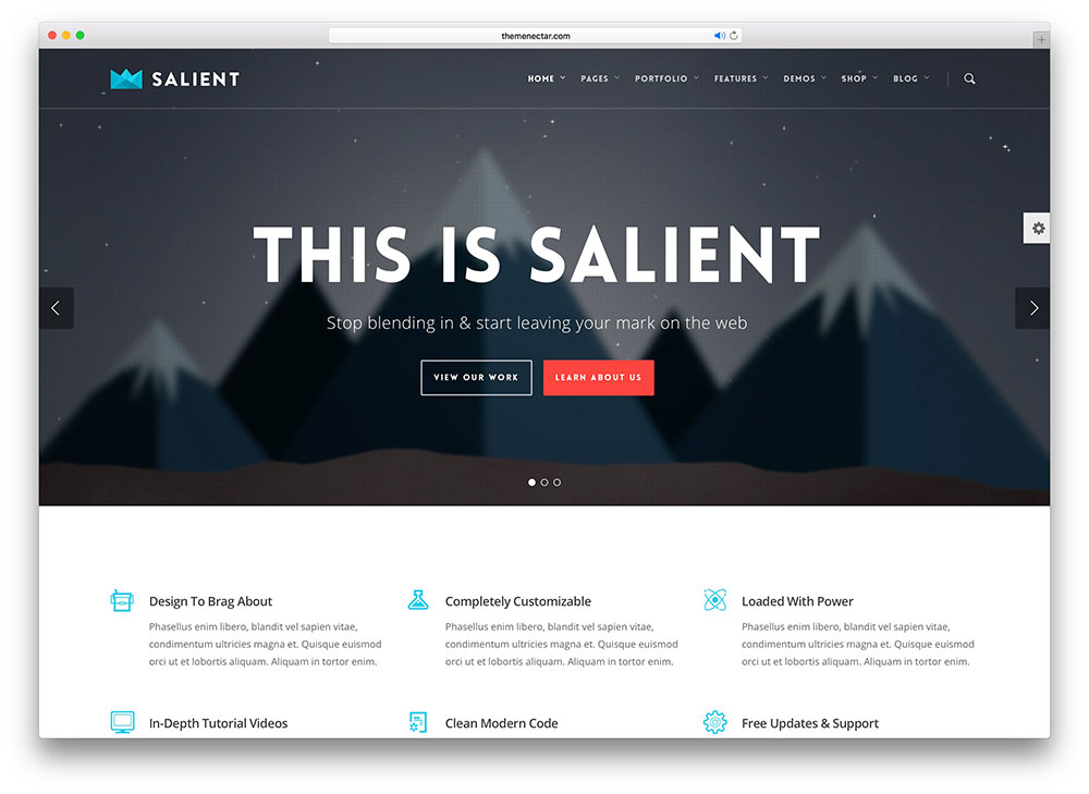 salient - flat design theme