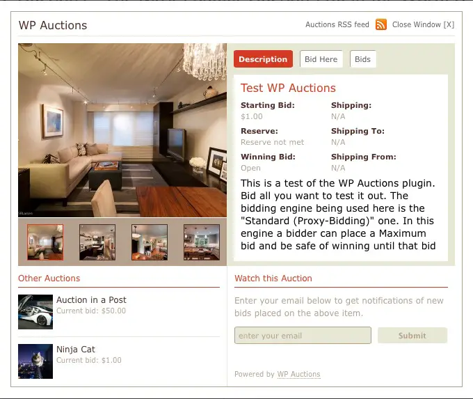 WP Auctions Plugin