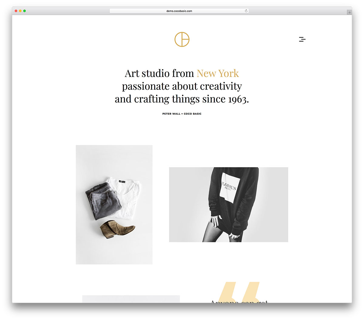 49 meilleurs thèmes WordPress minimalistes pour les créations 2019 9