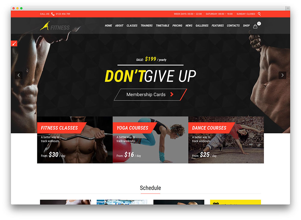 fitness club WordPress theme